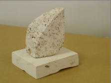 SPINE, 4.5 x 4.5 x 5.25 - Plaster, styrofoam, dried leaves